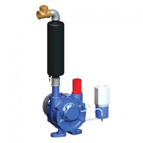 BOMBA CTA 750 COMPLETA ( Polea  Silenciador Original  Lubricador)